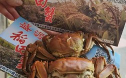 2025盘锦河蟹价格会涨还是跌？