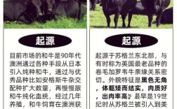 大理石花纹的肉牛品种有哪些？