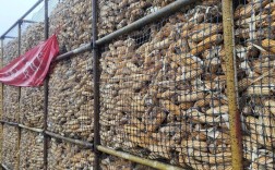 农村玉米储存技术视频