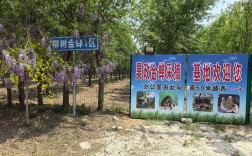 山东金蝉养殖技术基地有何核心技术？