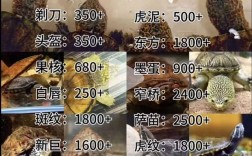 江苏麝香鼠种苗的价格