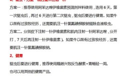 犊牛饲养管理有哪些关键要点？