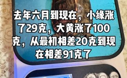 2025年观赏龟价格会涨还是跌？