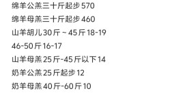 2025年大母羊价格会涨还是跌？