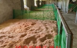 锯末发酵床养鸡技术如何操作？