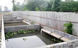 龟鳖无公害养殖关键技术有哪些？