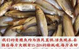 微山湖鱼类品种具体有哪些？