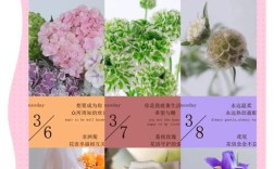 花的品种与开放日期有何关联？