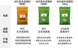 肉牛精饲料价格现在多少钱？