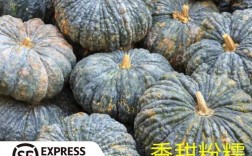 广西南瓜种植品种有哪些？