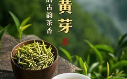 黄芽茶具体包含哪些品种？