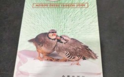 美国鹧鸪养殖技术pdf