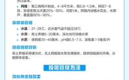 黄鳝养殖病害咋防治？关键点在哪？