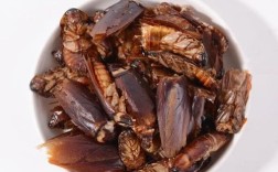 可做饲料的蟑螂品种