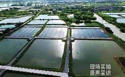 江苏水产品种养殖面积有多大？