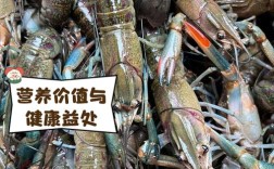 澳洲龙虾养殖技术有哪些