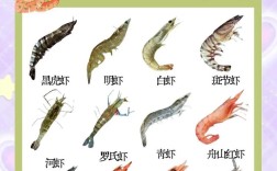 常见淡水虾品种有哪些？附图片识别？