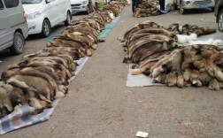 河北尚村皮毛价格现在怎么样？