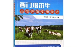 西门塔尔牛养殖技术要点有哪些？