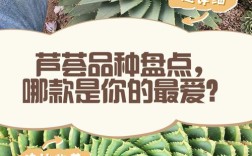 芦荟品种众多，到底哪个才是最好的？