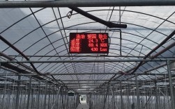 大棚白菜温度怎么管才合适？