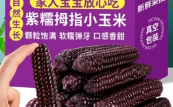 紫色玉米是什么特殊品种？