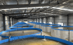 池塘循环流水养鱼技术