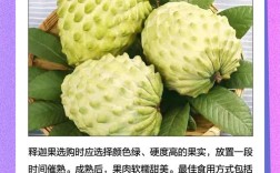 台湾释迦果种植技术有哪些关键要点？