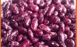 2025年芸豆价格会涨还是跌？