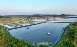 河蟹养殖池塘准备关键步骤有哪些？