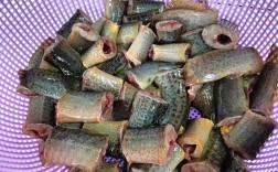 泥鳅品种哪里买？