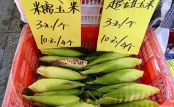 绥化今日玉米最新价格多少？