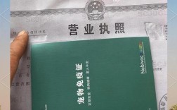 哪些狐狸品种适合当宠物？