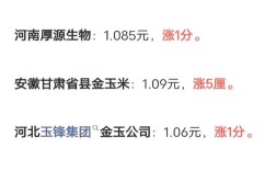 2025年11月玉米价格