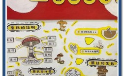 种植蘑菇怎样种植技术