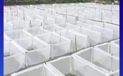 网箱无土养殖泥鳅技术难点有哪些？