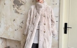 2025年獭兔最新价格是多少？