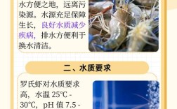 养殖大虾技术视频教程，新手能学会吗？
