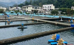 淡水养殖技术如何提升农业水产效益？