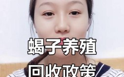 山西蝎子价格2025行情