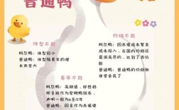 鸭子养殖成本与技术要点有哪些？