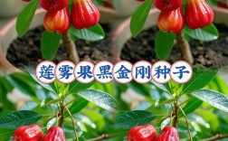 南方适合种植哪些干果品种？