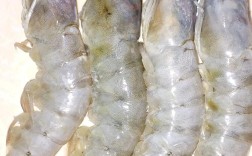 今日南美白对虾价格多少？