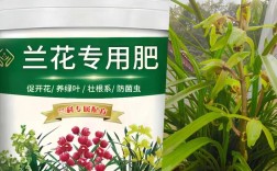 兰花肥的品种图片大全