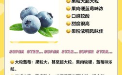 北高丛蓝莓品种哪个最优？