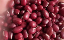 2025罗北红小豆价格会涨还是跌？