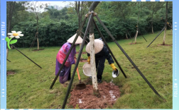 树苗栽培施肥浇水有哪些关键技术？