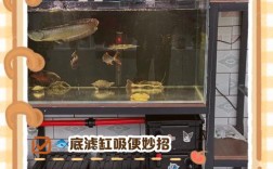 网箱养鱼粪便如何高效收集？