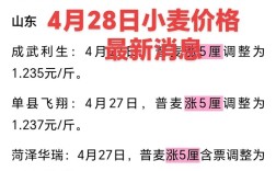 2025安徽小麦价格会涨还是跌？