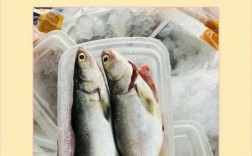 2025年养殖鱼价格会涨还是跌？